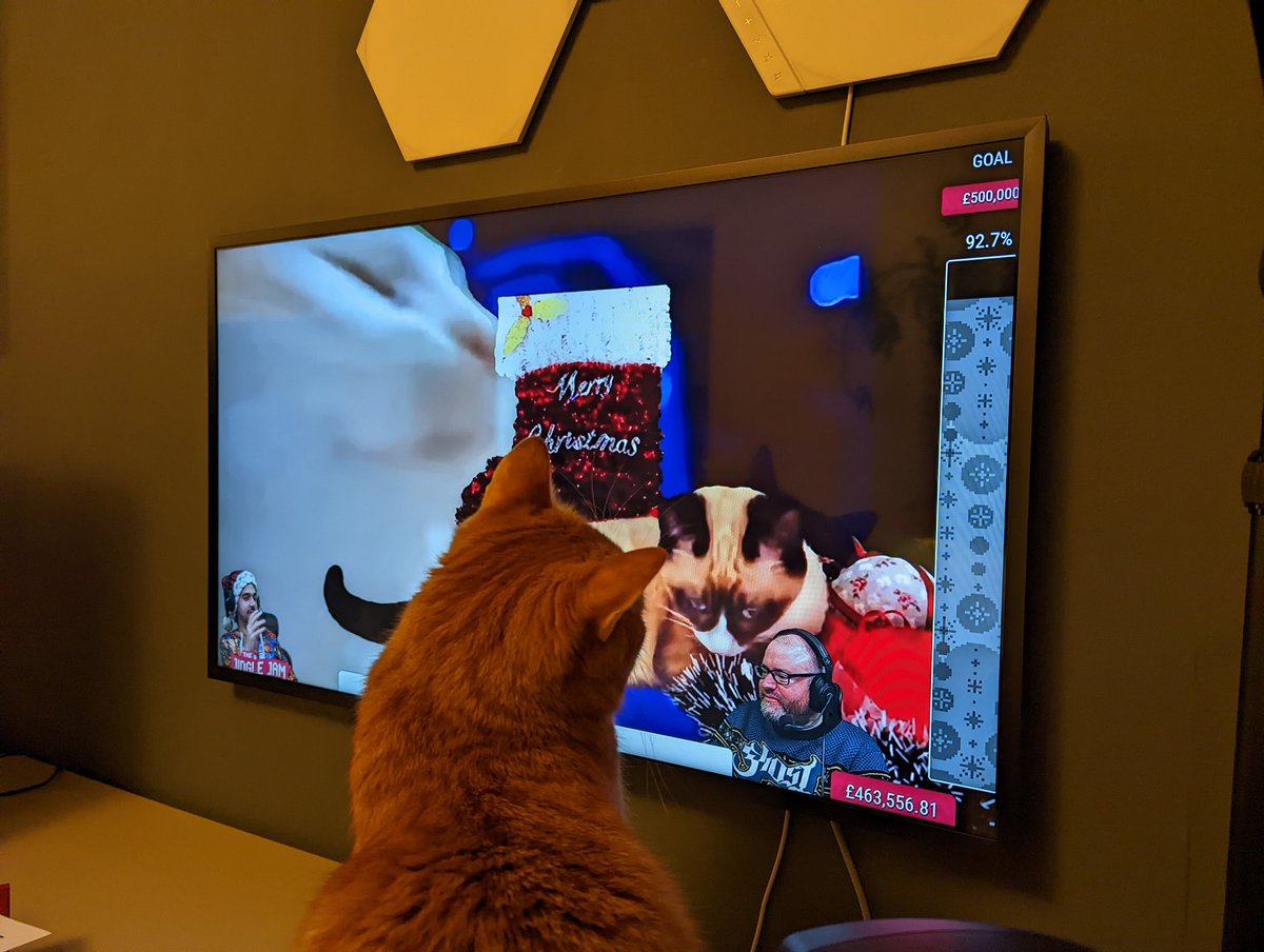 dblomskog's tweet photo. @yogscast Jingle cats is a smash hit so far https://t.co/UnOGQMsmIP