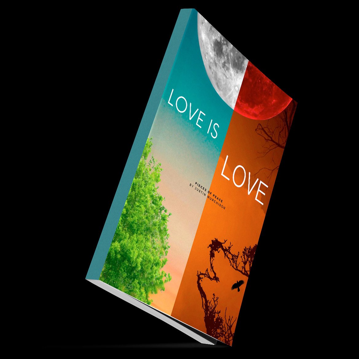 OfficialMurch's tweet photo. Excuse me, I don’t think we’ve met, how rude..allow me to introduce myself..My name is Justin Murchison…been focusing on mental health lately, been running through the phases of my own healing lately, finished my book. Join my newsletter, see what else I’m up to..Love is Love 📚 https://t.co/IRIkZHDFfV