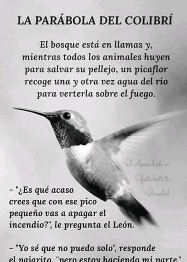 El colibrí sabe que no puede solito… pero hace su parte sin cansarse ni perder la esperanza,!aunque la tarea parezca imposible.
Etiqueten a todos los diputados para que aprueben el CuartoRetiro. Es difícil pero no imposible.
