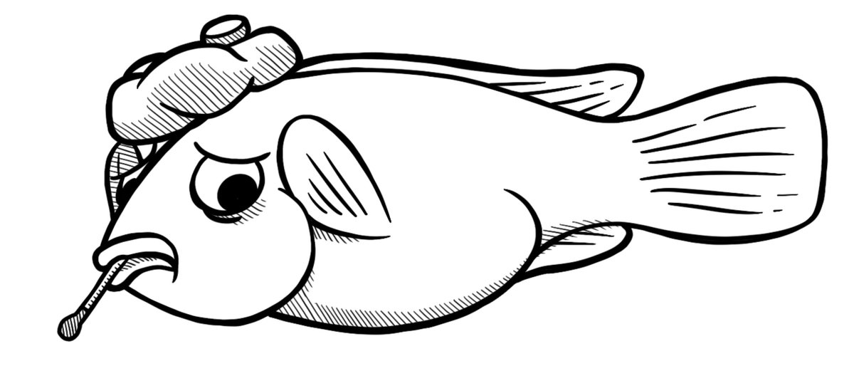 Maruska Lab tweet media