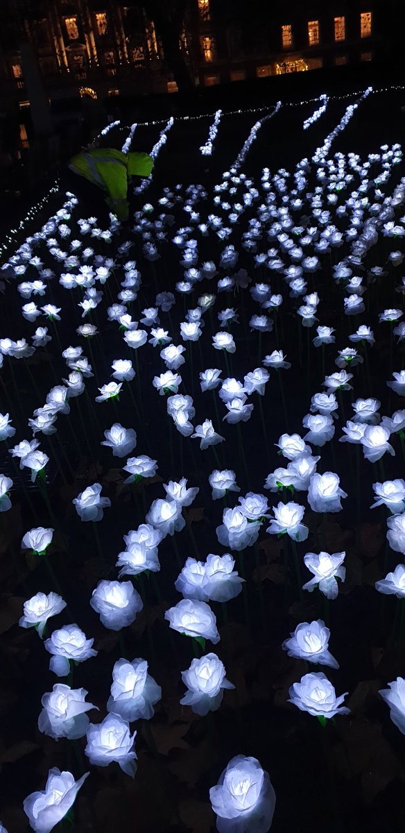 simplyrasha's tweet photo. The beautiful #EverAfterGarden is back in Grosvenor Square!

You can dedicate a rose and help raise money for @royalmarsden https://t.co/ZMFCdjIiV3