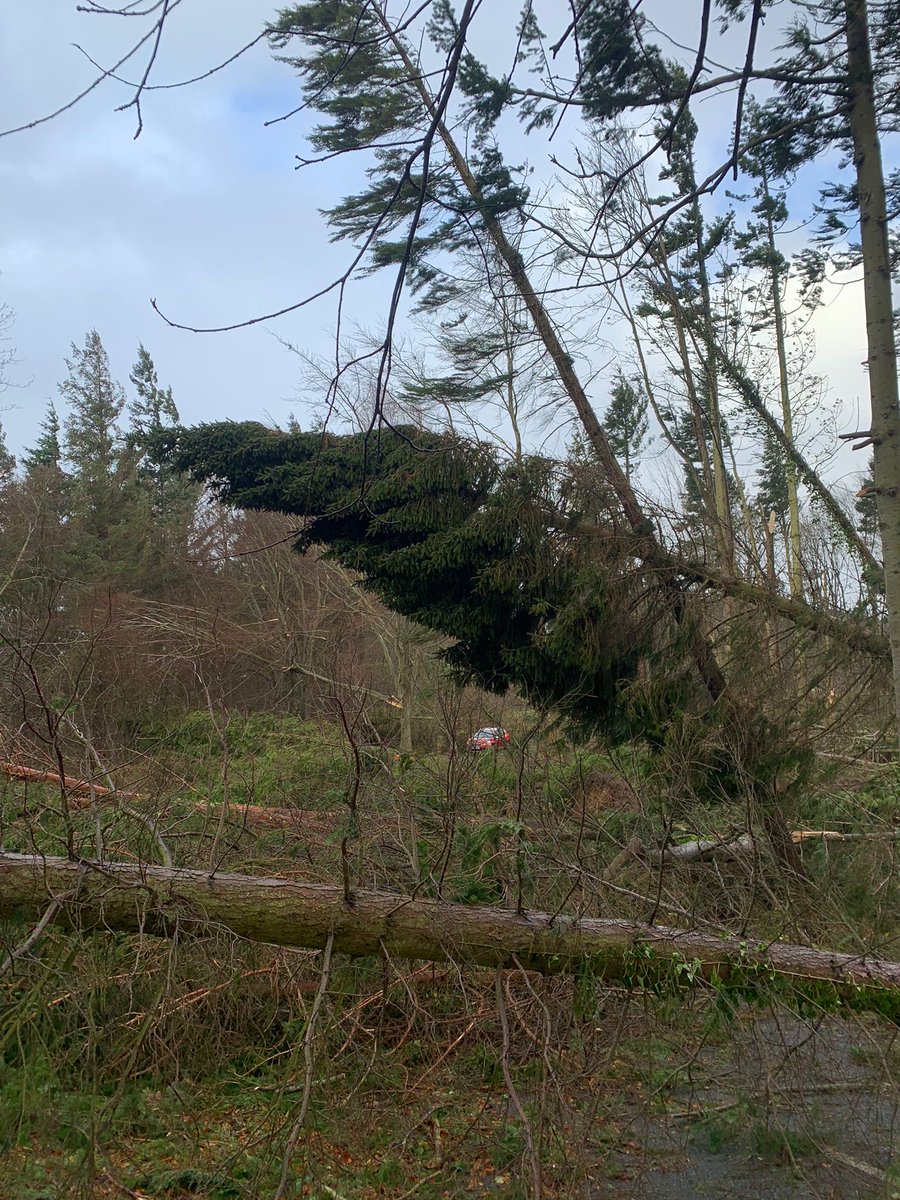 The main road to the farm on Saturday with two cars stuck in the middle of it abandoned in the storm