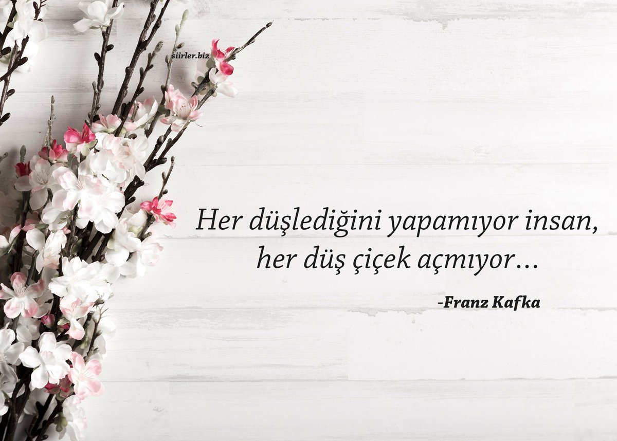 Franz.. Reis haklıı