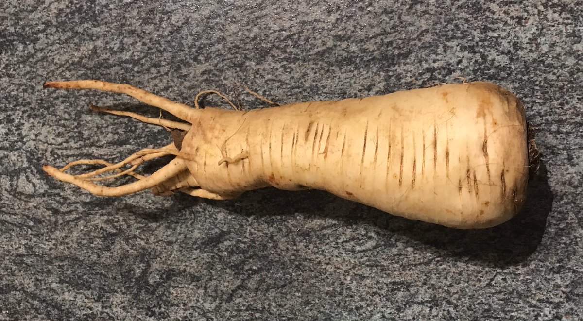 Does anyone know how to cook mandrake? As I appear to have got some in my veg box! 😉