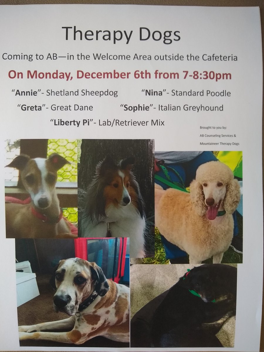 Join AB Counseling and Mountaineer Therapy Dogs on Monday, Dec 6th, from 7-8:30pm in the welcome area beside the cafeteria---5 dogs are confirmed for the visit!