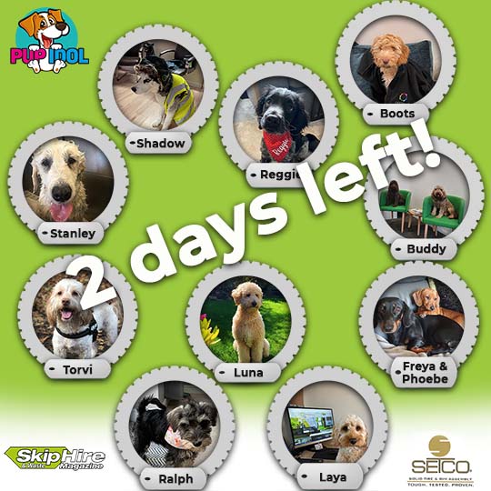 SkipHireMag's tweet photo. 2 Days to go until we find out who won Pup idol of the year!🐶

To see the winners in the #skipmag click below and subscribe to your free digital version👇

https://t.co/3aivdOxZ8N 

#SHWM #waste #dogs @AcornWaste  @CromwellPoly @ssackers @CPDavidson1 https://t.co/N617uoxLJA