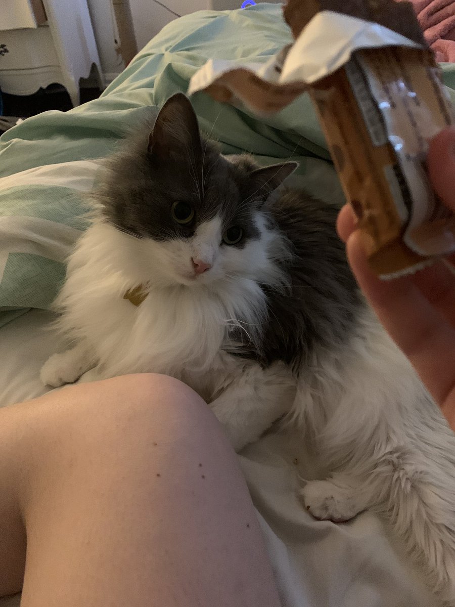 Phebe Fabacher 🍓 tweet media