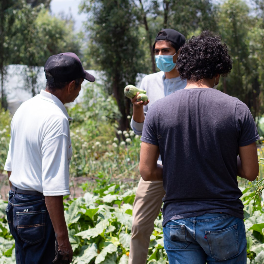 Solar4Eat's tweet photo. 𝗦𝗜𝗗𝗘 𝗕𝗬 𝗦𝗜𝗗𝗘 👩‍🌾👷‍♀️🤝🏼

A fundamental part of Solar4eat is working together with local food producers.

#SOLTRIX 
#Natural 
#Productoresmexicanos 
#Deshidrataciónsolar 
#HechoenMéxico 
#Solar4eat https://t.co/o1WyRiLH0I