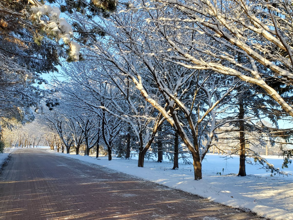 Lambton Golf & Country Club tweet media