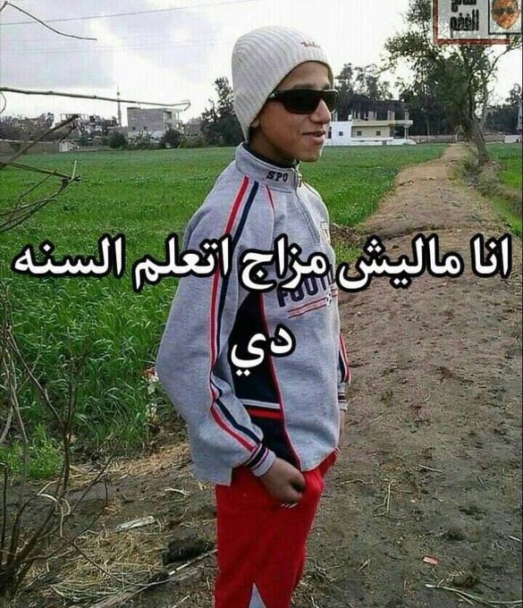 كل يوم صورة معبرة (@memesoficiial) on Twitter photo 