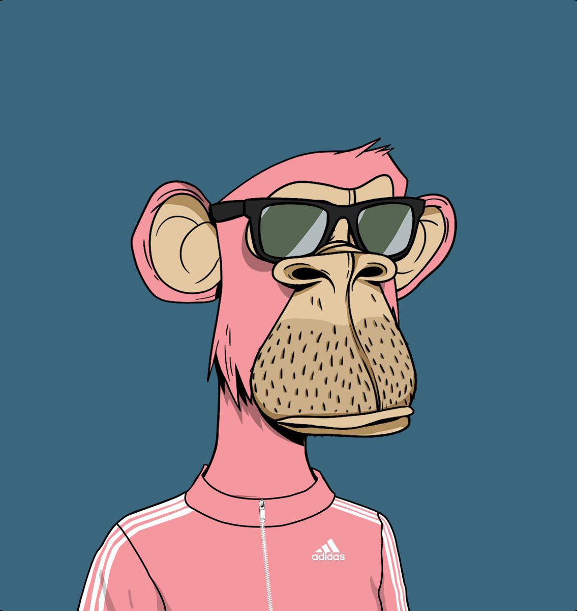 BonnieLass.eth 🦍 (@bonnielass88) on Twitter photo Slightly late to the party, fashionably late… <a href="/BoredApeYC/">Bored Ape Yacht Club 🍌</a> <a href="/adidasoriginals/">adidas Originals</a> Slightly late to the party, fashionably late… <a href="/BoredApeYC/">Bored Ape Yacht Club 🍌</a> <a href="/adidasoriginals/">adidas Originals</a>