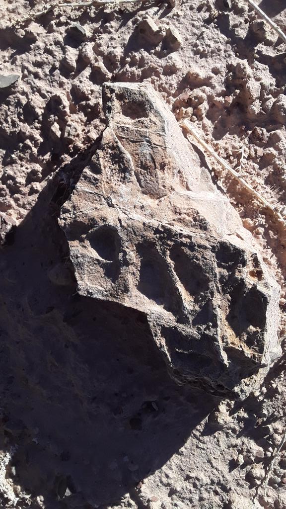 one_dray's tweet photo. Mysterious print out at the landfill...#mystery #pbs #archeology #science #landfill RT https://t.co/SSo8njVvXG