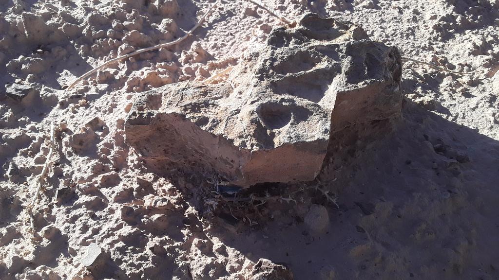 one_dray's tweet photo. Mysterious print out at the landfill...#mystery #pbs #archeology #science #landfill RT https://t.co/SSo8njVvXG