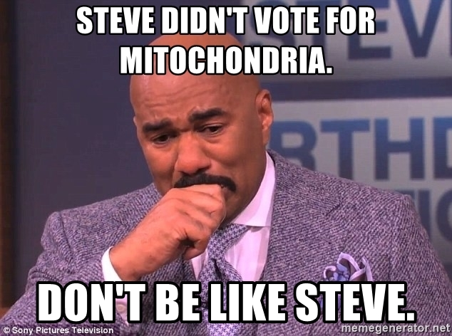 Mitochondriagls's tweet photo. #glsow2021 https://t.co/UN2RSnHkwd