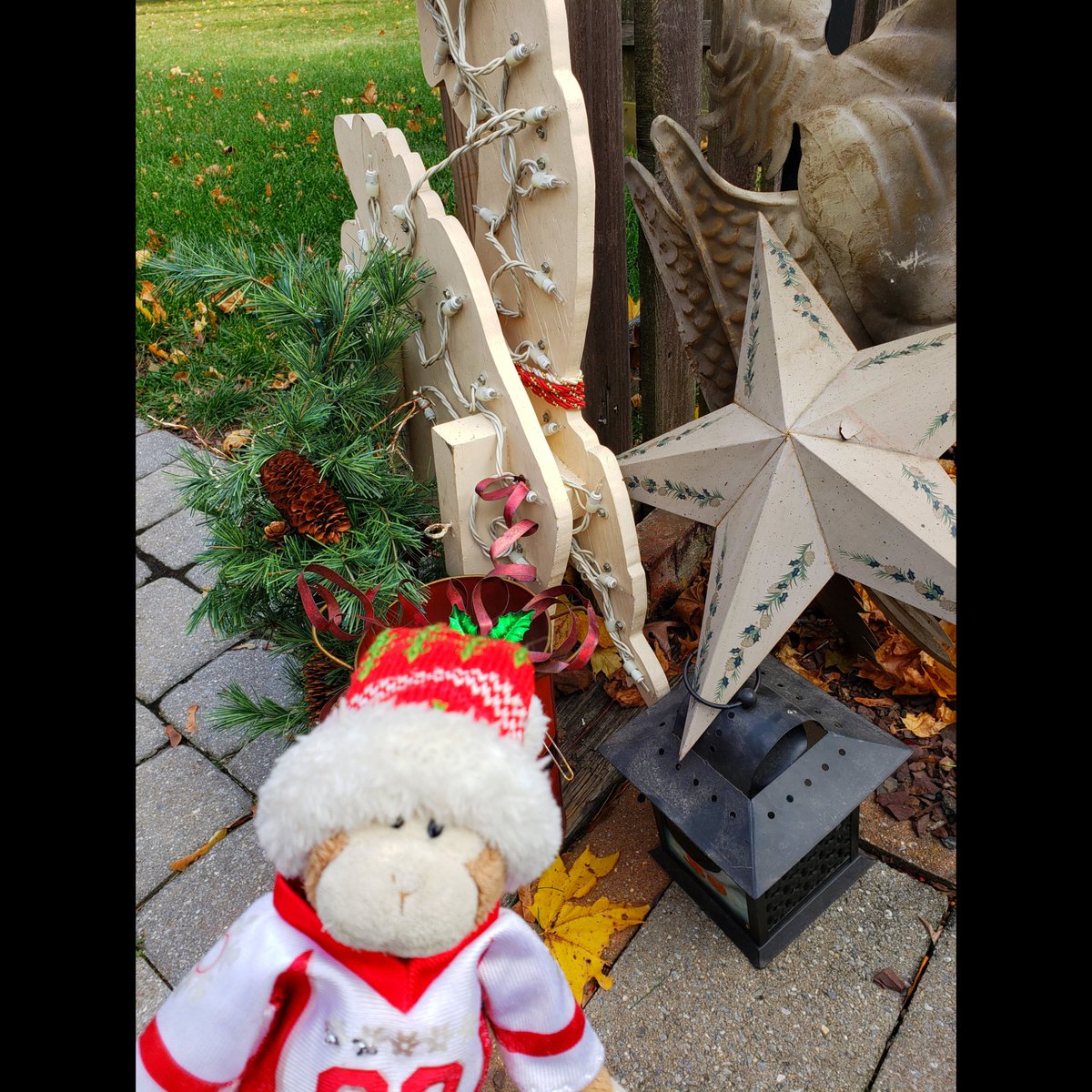 TravelingMocha's tweet photo. Mocha on the Shelf day 1: Hauled some decorations out of the garage! #MonkeyBusiness 🗓️ 🎄 #MochaOnTheShelf #MochaOnTheShelf2021 #HelpfulMonkey #Christmas #Yule #SeasonsGreetings #Holidays #HappyHolidays #Dec1 #Dec01 #Day1 #Day01 https://t.co/u4acAaRba4
