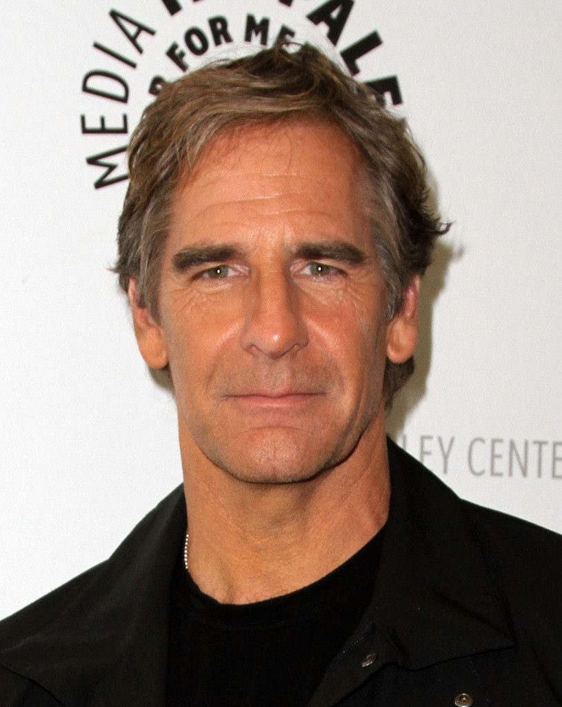 скотт бакула. скотт бакула. бакула. стюарт бакула. скотт стю́арт ба́кула.