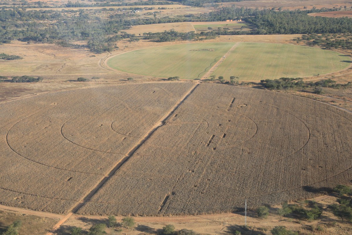 Agricultural Research Council of Zimbabwe tweet media