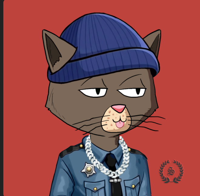 BiG_ToNe17's tweet photo. It was my lucky day thanks to @SolanaCatCartel,  go check them out! 🐈‍⬛🐈‍⬛ https://t.co/DKH9VVVN01