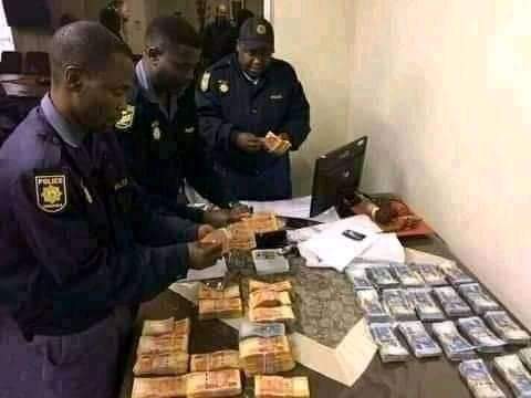 TGer25's tweet photo. @pinkygirl_ZA Apara dikobo ausi.. https://t.co/xccSkOEcvq