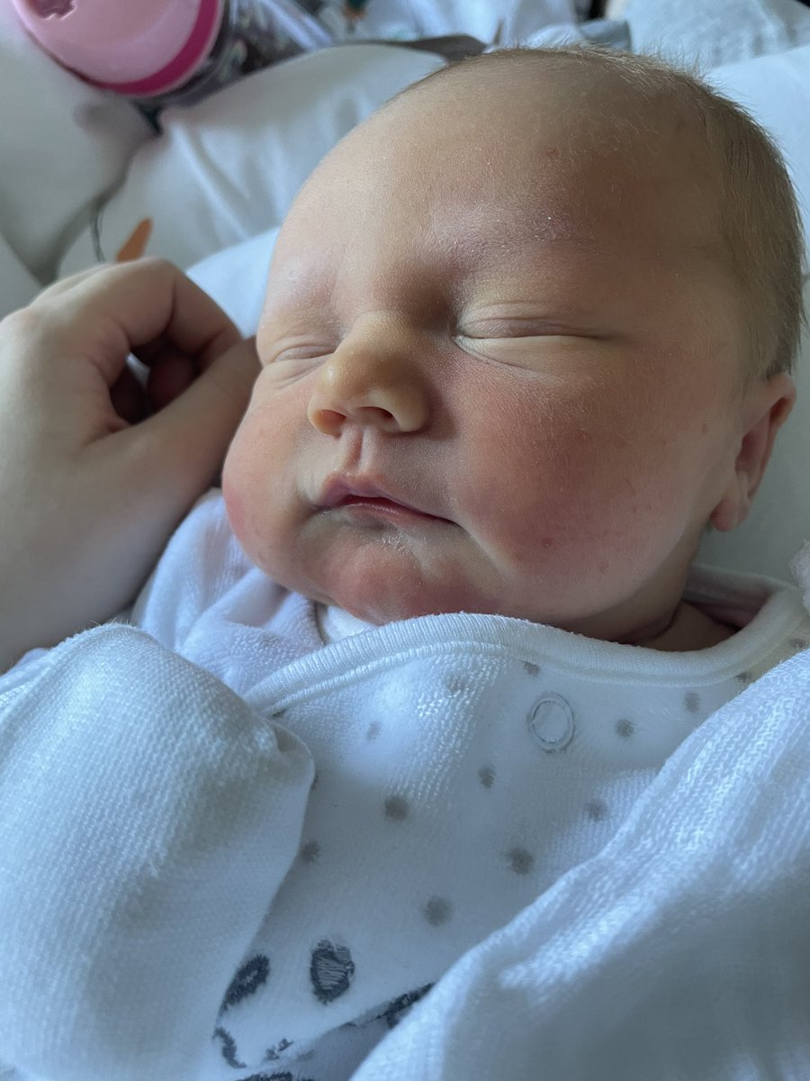 Chloé Prendergast tweet media