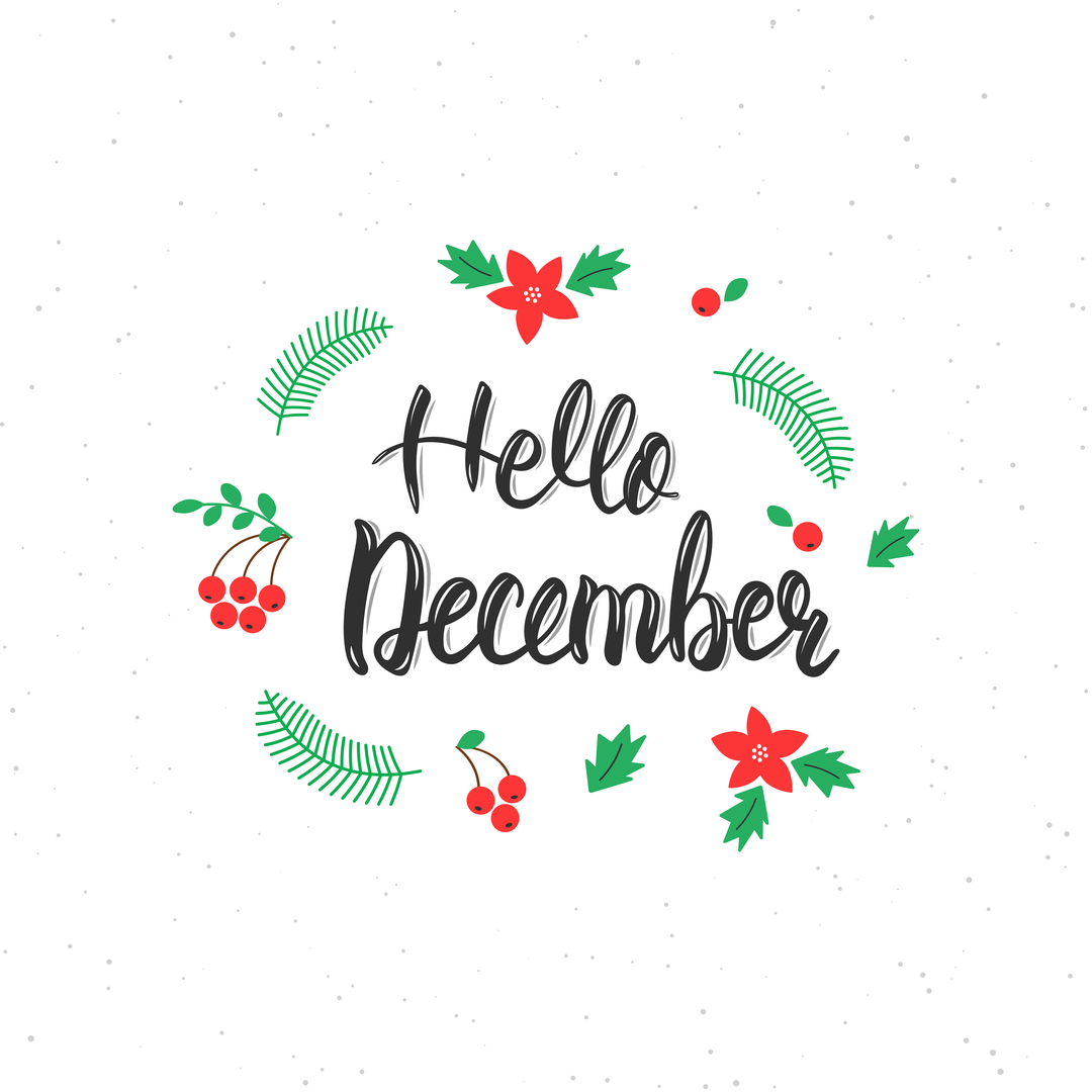 trycleanlife's tweet photo. Hello December! The Clean Life family wishes everyone a beautiful new month! 🎄💚
#trycleanlife #december2021 https://t.co/SZMzhRvEHP