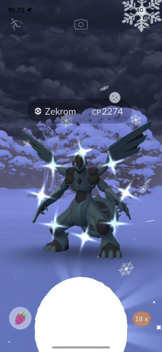 Yay got 2nd shiny Zekrom 😀👍 <a href="/PokemonGoApp/">Pokémon GO</a> #PokemonGO