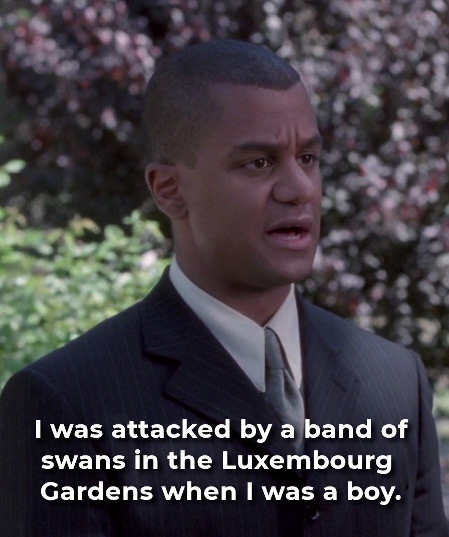 gilmore_guide's tweet photo. Swans: they're vicious, vicious birds. https://t.co/h4fEHUVUep