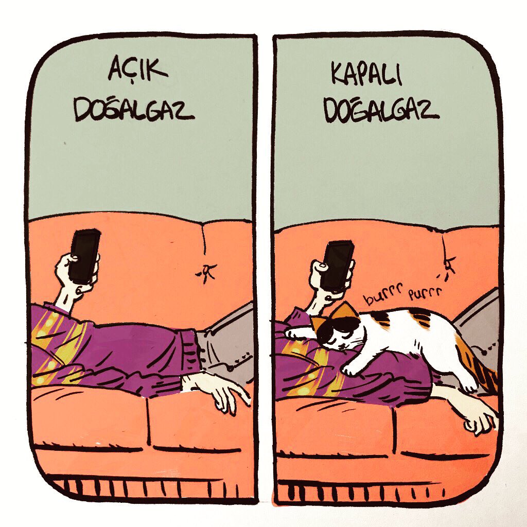 Bi Aralık 🐾❄️🔥