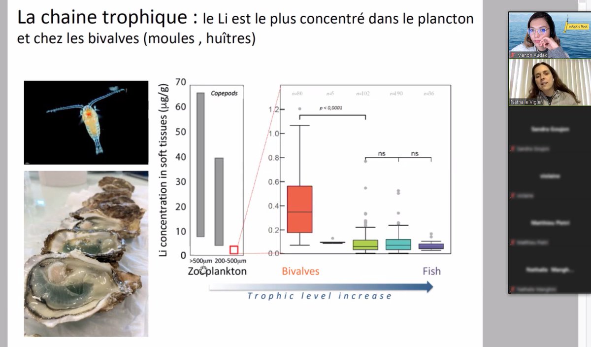 [#RDVenseignants] Encore une superbe présentation de @NathVigier <a href="/ChocTeamLov/">CHOC LOV</a> <a href="/LovLabo/">LABO LOV</a> sur ses travaux de recherche sur la pollution au lithium et ses impacts sur les organismes marins <a href="/ISO2MET_project/">ANR ISO2MET</a> ! 🐚🌊
Merci Nathalie &amp; merci aux #enseignants participants ! 🤩