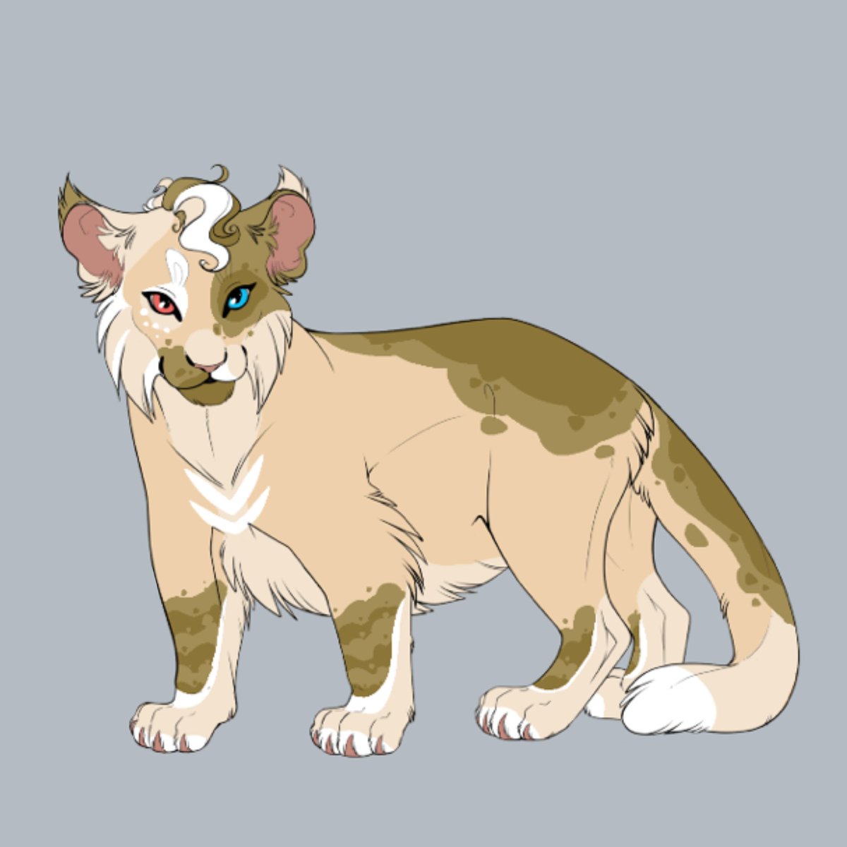 DerppMonster's tweet photo. Bought this gorgeous beauty from reshipup on discord. I'm absolutely love her.😍 Help me name her! https://t.co/s3Snw4Lmph