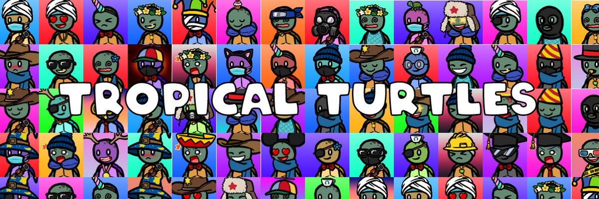 The__Kory's tweet photo. Excited to officially be a part of the @TropiTurtles and @TropicalOtters team!

LFG everyone!! #turtletakeover #ottermint https://t.co/wNH8MTGb1Y