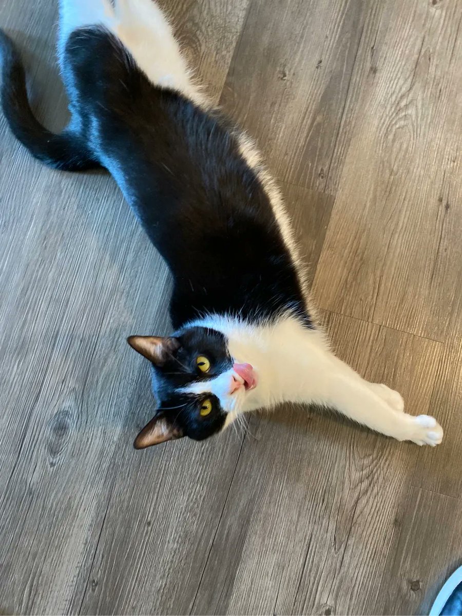 Cody Bryant tweet media