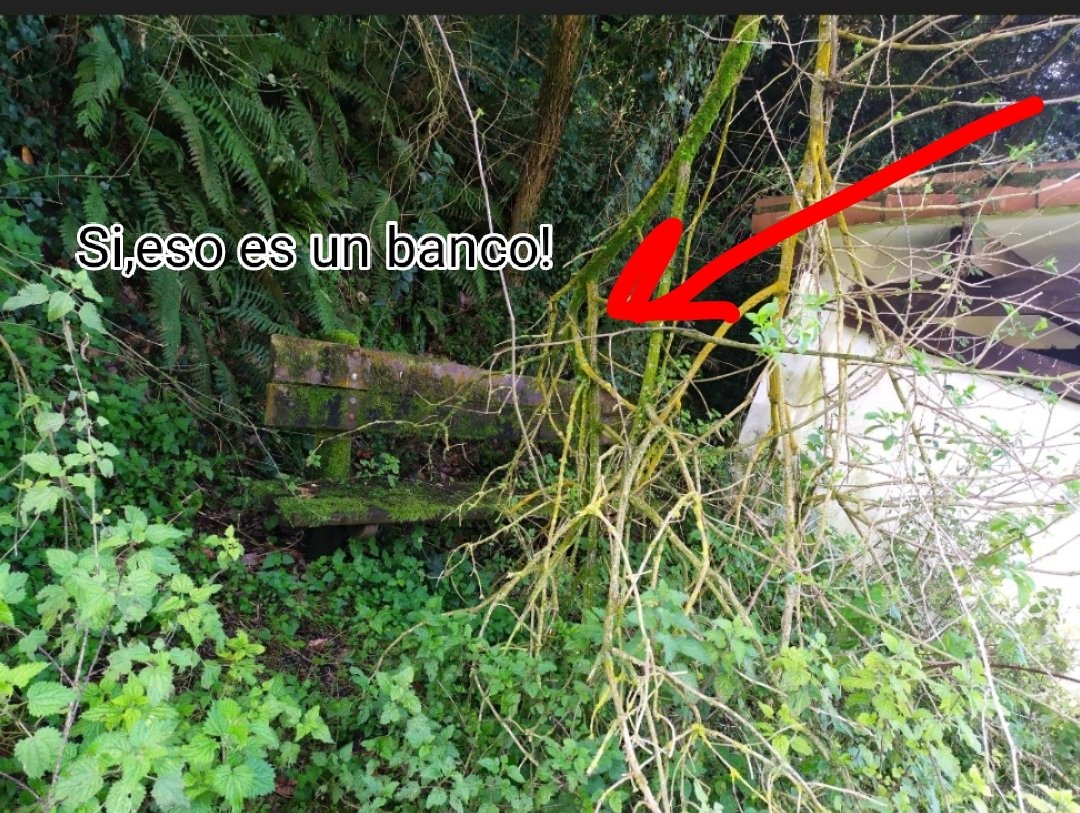FlorMC5's tweet photo. 🛑🛑🛑🛑🛑🛑🛑Carreño también existe srs.pero el abandono se ha hecho dueño de este precioso concejo asturiano!
@Dabizdiverxo esto también es Asturias!
@juanmacastano
@AdrianBarbon  @GobAsturias @FarodeAsturias @CiudadanosCs @DelGob_Asturias 
@isanseba
@alo_oficial 
#UltimaHora https://t.co/PgSOsVAlNI