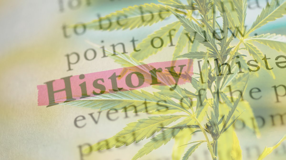 CBDLearningBase's tweet image. Cannabis wasn&apos;t always illegal in the US. It has only faced prohibition in the past 100 years. 

Here&apos;s a timeline that shows the Cannabis prohibition in the United States of America bit.ly/3IaQpkg

#CannabisCommunity #cannabisculture #cannabisindustry #cannabisgrower