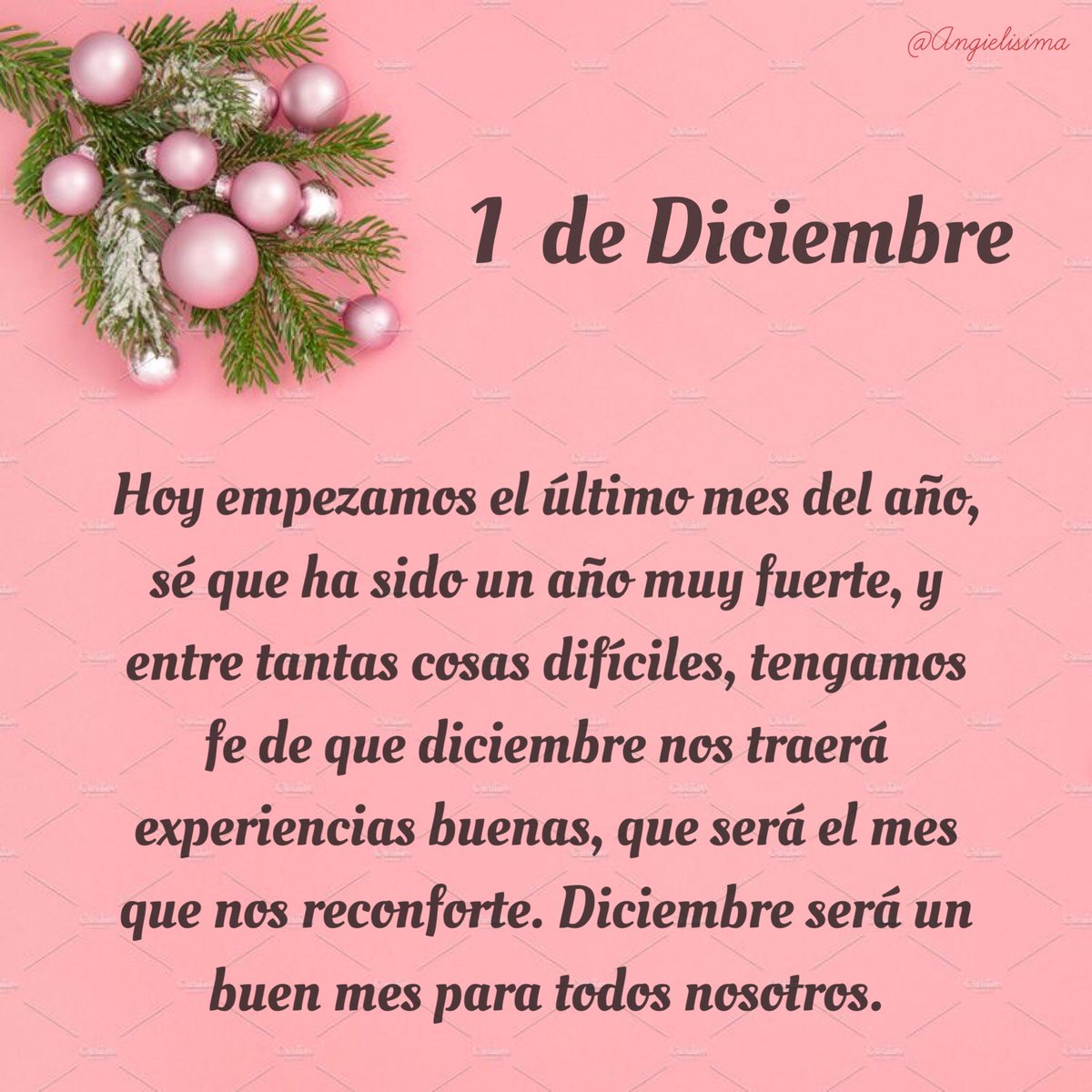 Angie tweet media