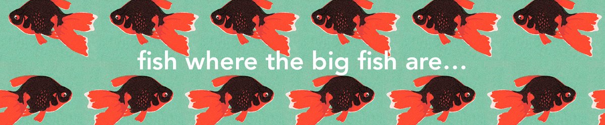 ProAssistanceNL's tweet image. Ben jij onze nieuwe recruitment consultant? Voor ons kantoor Amsterdam of Rotterdam. Minimaal 32 uur.

Neem dan contact met ons op!
020 301 67 80 of info@pro-assistance.nl

#recruitmentconsultant #recruiter #consultant #talent #Amsterdam #Rotterdam