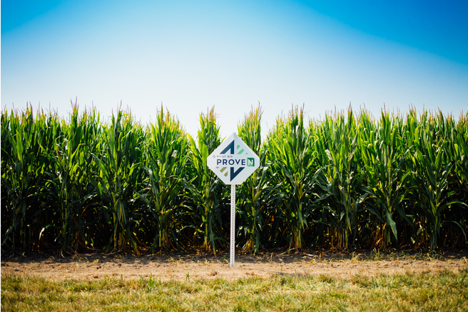 Magnetic Ag tweet media