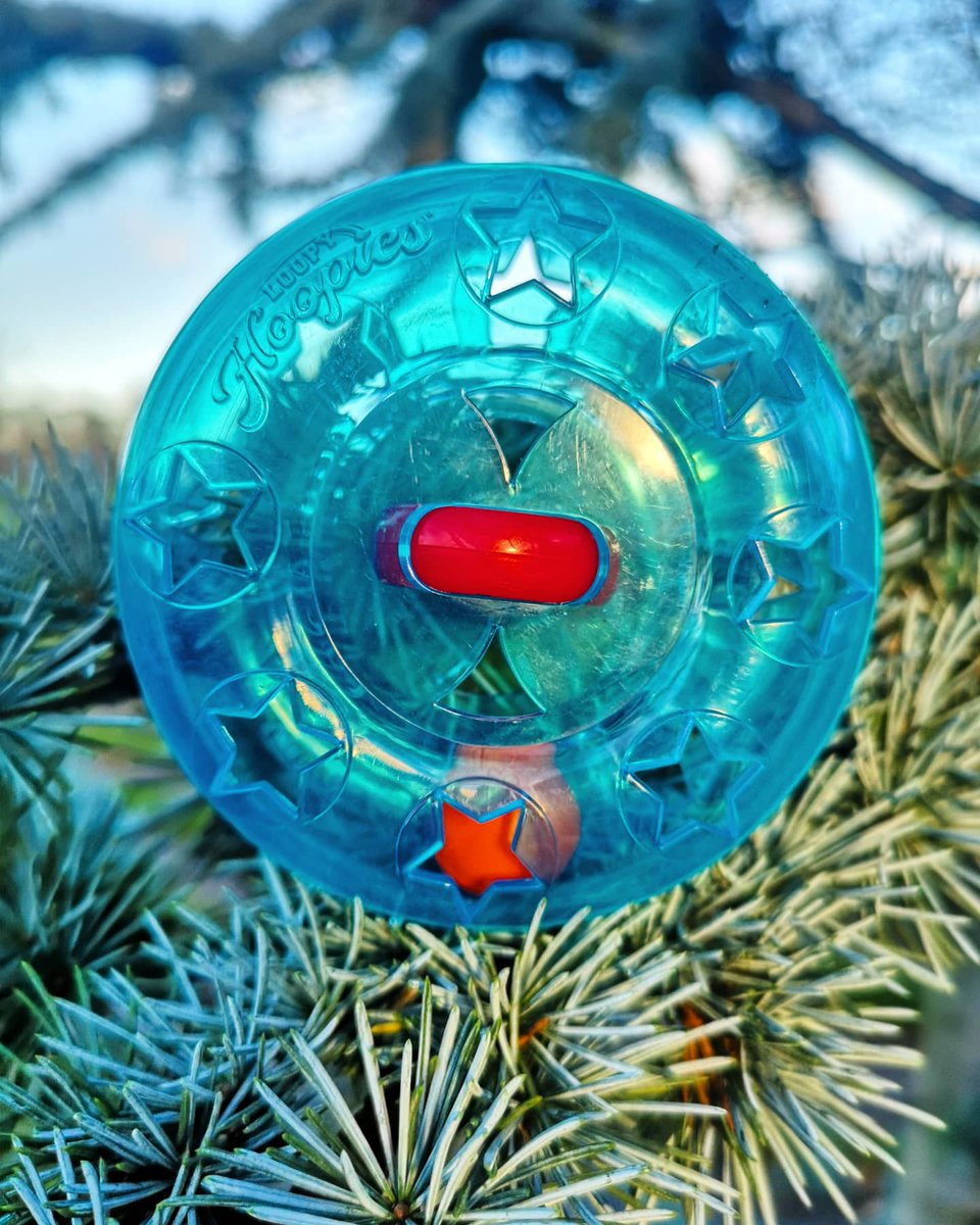 loopylooperBO's tweet photo. Loopy Hoopies are a super fun way to keep little ones entertained while travelling this holiday season!
Find them all on Amazon and get ready to easily spin, hoop and fidget on-the-go with Loopy Hoopies.

#InTheLoop #LoopyHoopies https://t.co/NxqOJX52rX