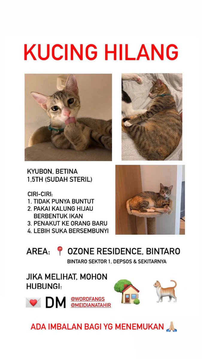 Mohon bantuannya untuk temqn-teman warga Bintaro sektor 1/depsos/kesehatan dan sekitarnya 🙏🏻🙏🏻