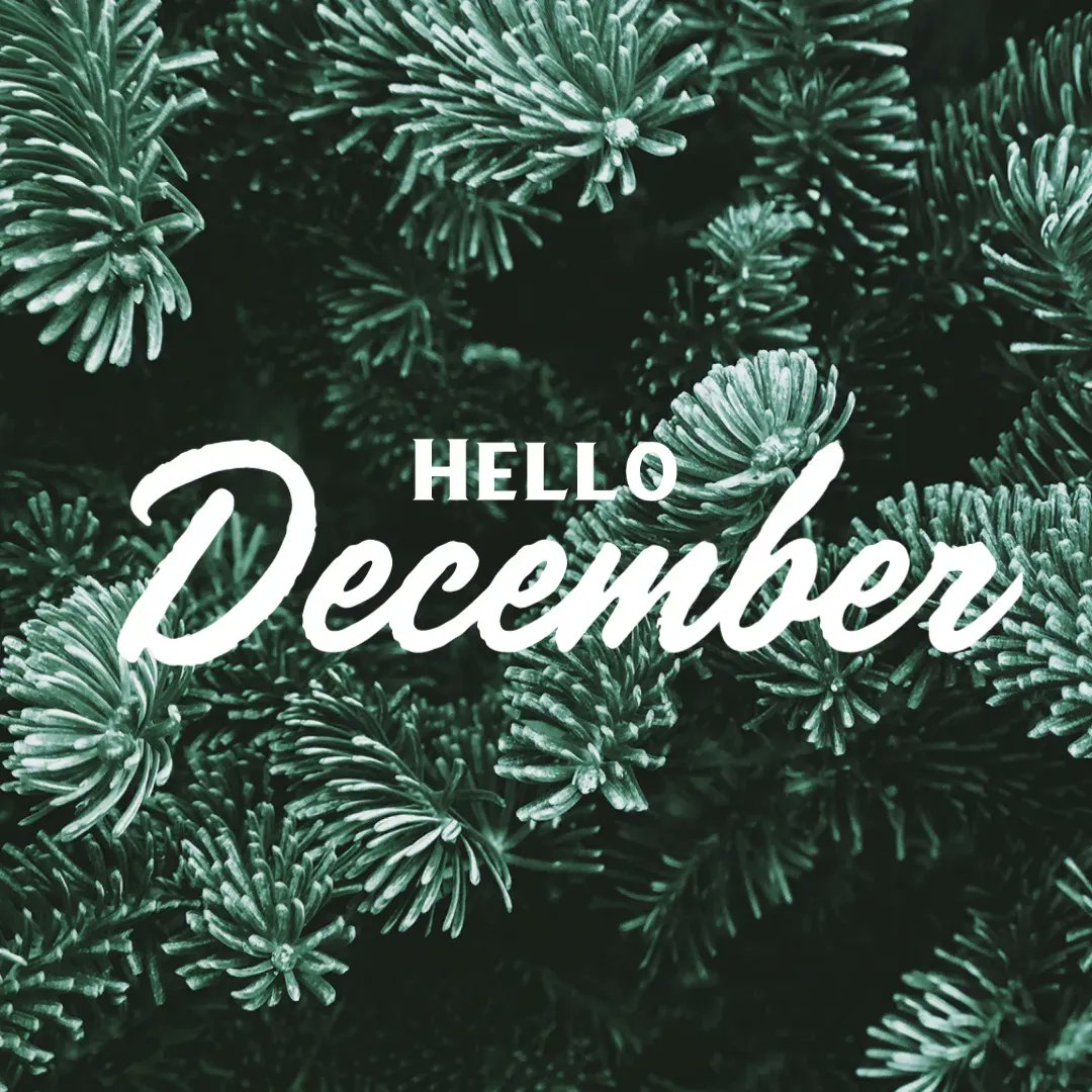 iStudyOleMiss's tweet photo. Hello December! We are one step closer to winter break. Enjoy the rest of your week and best of luck studying for finals! https://t.co/pIMSH9O4kf