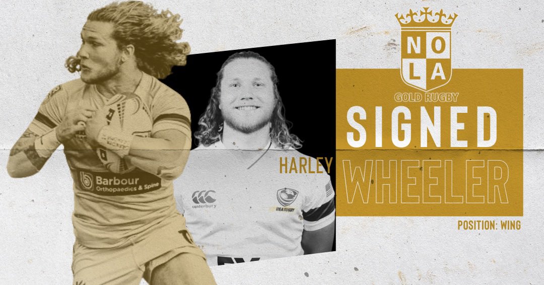 nolagoldrugby's tweet photo. β οΈSigning Alert
-
Harley Wheeler has signed with the Gold for 2022.
-
π #StayGold https://t.co/etWwCd67Js