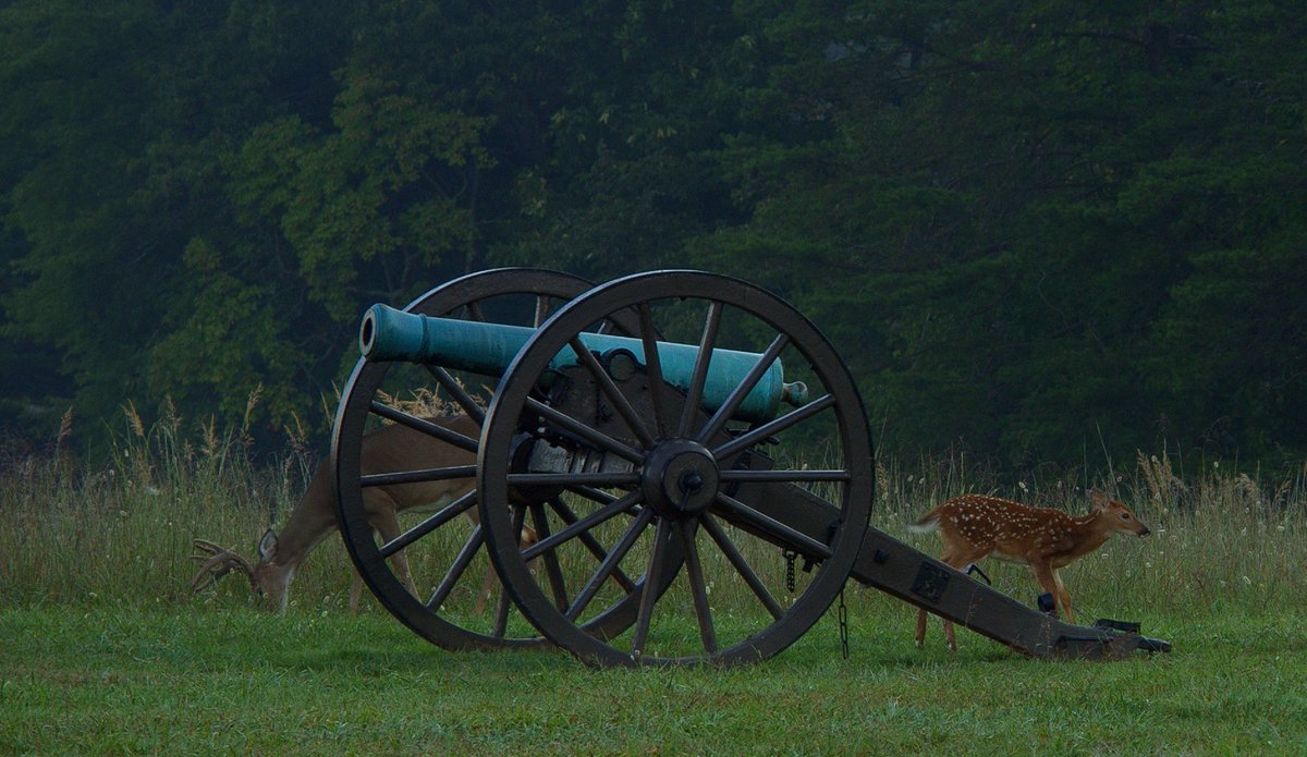 For today's #WildlifeWednesday, we are sharing this scene of a buck and fawn near a cannon. 

Have you noticed any deer or other wildlife in your visit to the park this week? Share your sightings with us in the comments below!

#manassasnps #findyourpark #encuentratuparque
