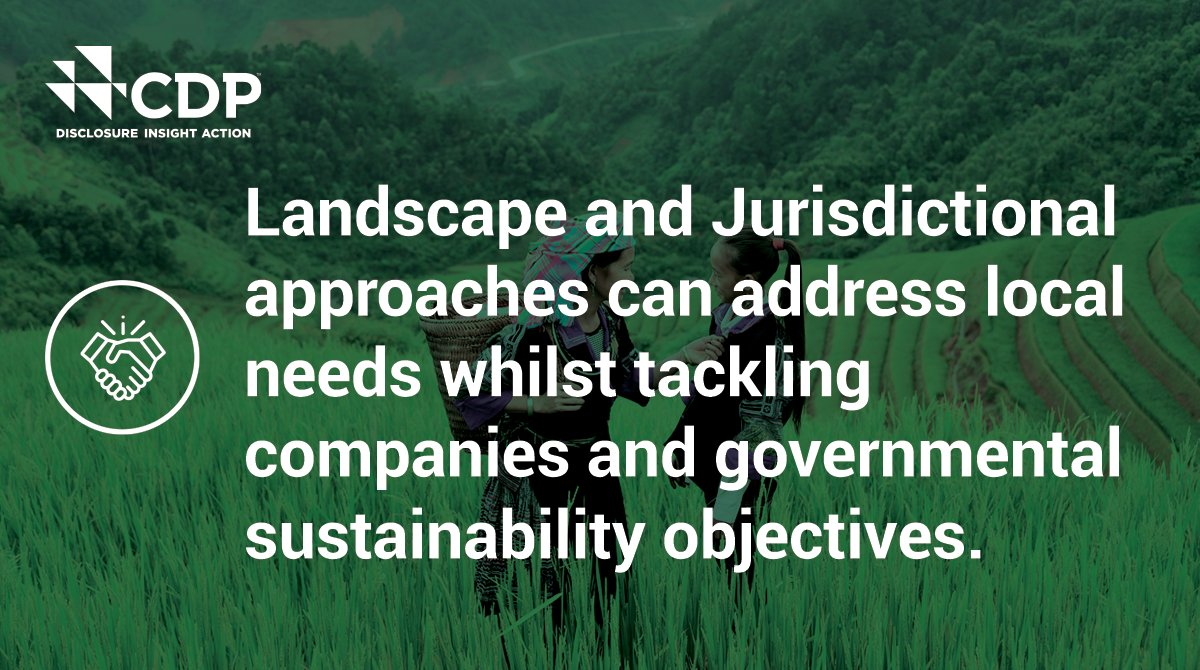 CDP's tweet photo. How can #ClimateAction address local needs?
Read CDP’s latest report on landscape and jurisdictional approaches to find out: https://t.co/HbdvtDRj1z
#CDPForests #COP26 https://t.co/NUyGSYvMcx
