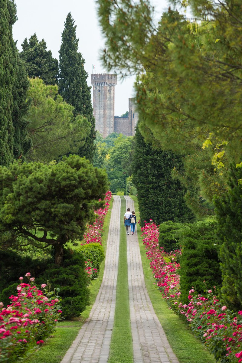 ilparcopiubello's tweet photo. CONCLUSA LA STAGIONE 2021 DEL PARCO GIARDINO SIGURTÀ, ASPETTANDO IL 2022: “Stiamo lavorando per una grande stagione 2022 che prenderà il via domenica 6 marzo” per info https://t.co/ByRJ3QMTlU
https://t.co/9nbpQkCFX4 https://t.co/2uUo1YQlYt https://t.co/RidGXSqDld
