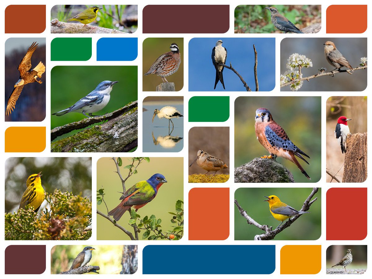 selc_org tweet picture