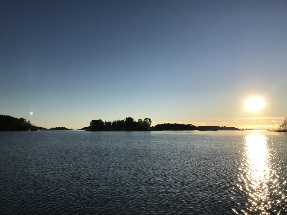 cmgustafsson's tweet photo. Sampling in sunny Dec w/ friendly &amp; curious bird assistant. @dan_donald23 &amp; @_evakaefer collected sediment cores for quantification of sediment C stock. Divers had a blast in refreshing +2°C water! 
#coastclim #carboncycling #winterfieldwork 
@tvarminne @anorkko @tomjilbert https://t.co/Ls099q6EtU