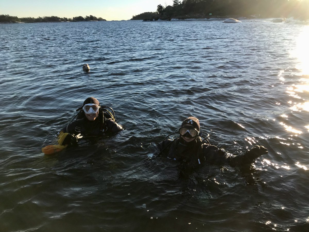 cmgustafsson's tweet photo. Sampling in sunny Dec w/ friendly &amp; curious bird assistant. @dan_donald23 &amp; @_evakaefer collected sediment cores for quantification of sediment C stock. Divers had a blast in refreshing +2°C water! 
#coastclim #carboncycling #winterfieldwork 
@tvarminne @anorkko @tomjilbert https://t.co/Ls099q6EtU