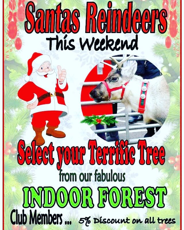 We_Are_Fumin's tweet photo. Join us this weekend 4/5th December for festive food at New Coley Nursery and Garden Centre Denholme. The 🦌🦌are flying in! 💕 https://t.co/K5tHuE0Sm4