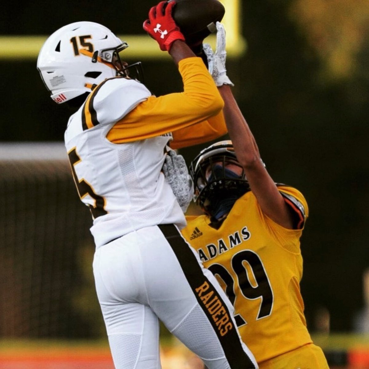 MLive Metro Detroit Dream Team HM ✅