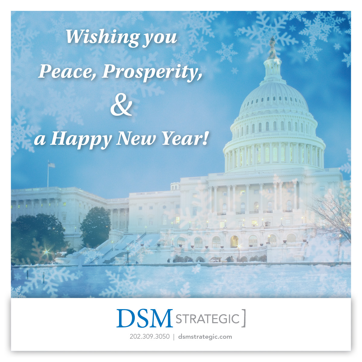 Thank you to our clients, colleagues, associates and partners who make DSM Strategic possible. Have a happy, healthy holiday season filled with fellowship and fun. dsmstrategic.com